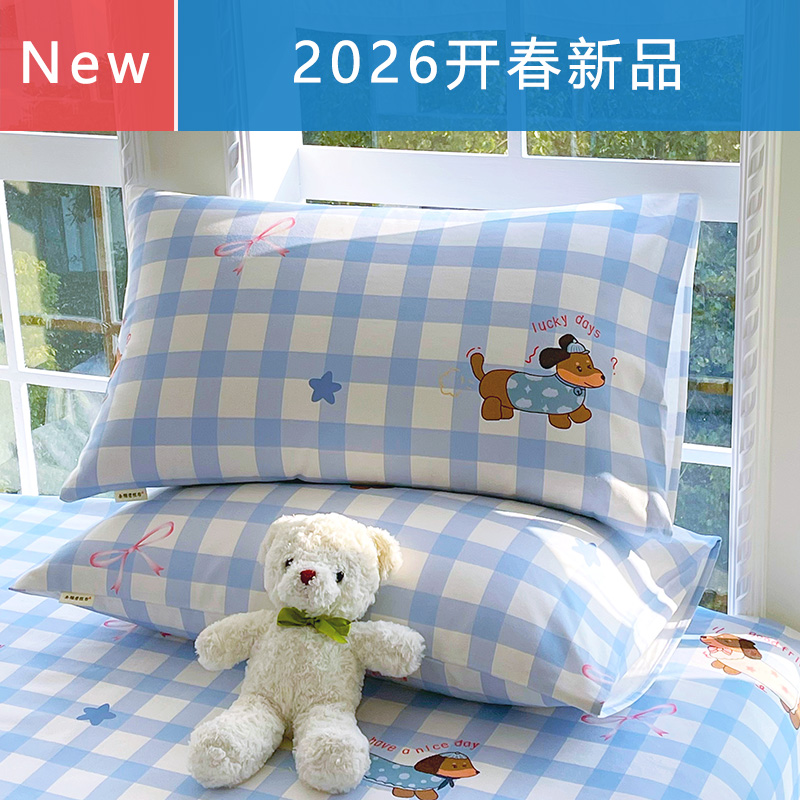 2026A��ȫ���ϴֲ�ϵ�е�����